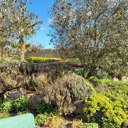 Havre De Paix Et Jardin Tropical. Chambre Privee Le Rheu ภายนอก รูปภาพ